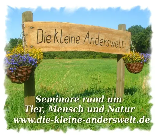 Seminare Tieraufstellung, Familienaufstellung, Tierkommunikation, Ausbildung, Naturheilverfahren, Schüßler-Salze, Erste Hilfe Kurse Hund und Katze, Schamanismus, Meditation, Physiotherapie Hund Katze Pferd bei Oldenburg in Niedersachsen