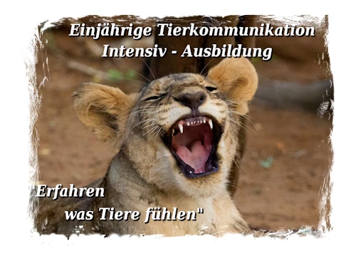 Tierkommunikation Intensiv Ausbildung bei Oldenburg Niedersachen, Tierkommunikation lernen. Tierflüsterer Ausbildung